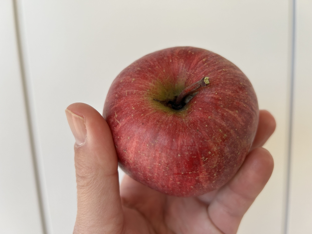 WR-1 ワケありりんご 約4kg | 王将果樹園